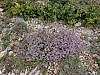 2015_voiedarles20.JPG