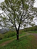 2015_voiedarles37.JPG