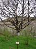 2015_voiedarles54.JPG